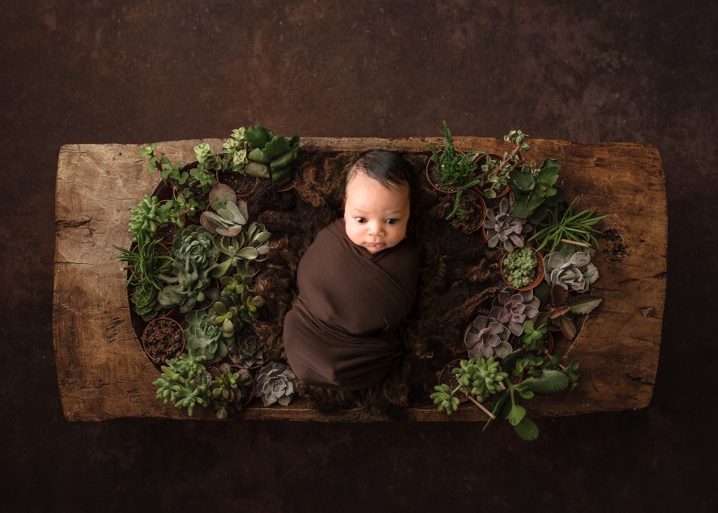 Baby in Succulents and Heirloom Bowl